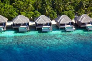 Dusit Thani Maldives - 50 percent off on Transfers for Stays of 5 Nights stay until 20 December 2026