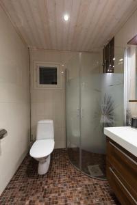 Isokarhu 3 Visit Levi