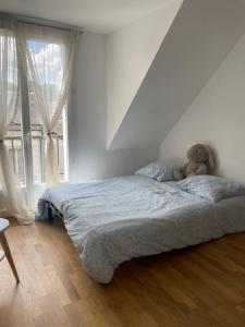 Amboise centre ville