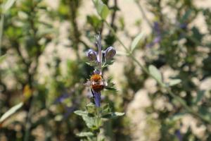 Family Bike Residence