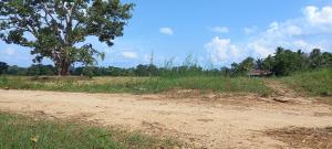 Wellawaya Accomadation