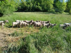 Maison vacances 4 personnes