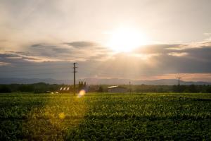 Ferienwohnen im Ziegelfeld
