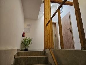 Apartmán Andromeda