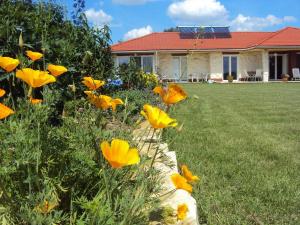 Biały Domek studio pomarańczowe