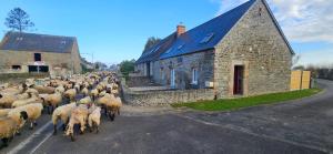 Au Mont De La Rive #Jaccuzi et Mont-Saint-Michel #