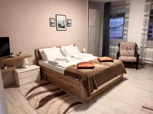 Daisy Apartment Novi Sad- Sremska Kamenica