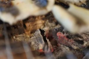 古民家coco-Rin sunRin舎-Traditional Japanese Guest House