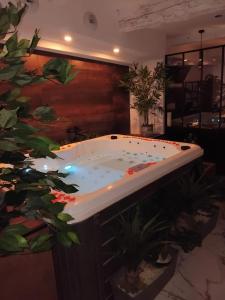 Appartements Appartement charmant a Pignans - 46 m² avec jacuzzi : photos des chambres
