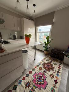 Bright & Cosy Flat in Maida Vale
