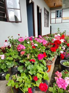 Bakhim Village Homestay