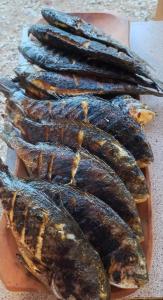 Butoiașele Montesanto - Explora y Alegrate