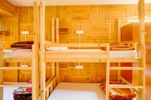 Jungle by sturmfrei Kasol