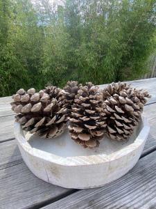 Maisons de vacances La Casita : photos des chambres