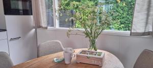 Stijlvol chalet Zeeland - Sauna & omheinde tuin VP082