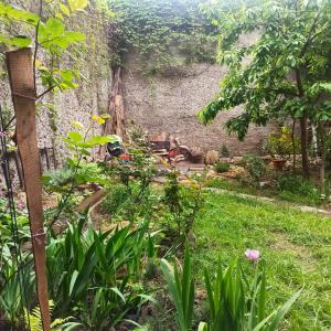 Номер у моря, бассейн, сад, мангал