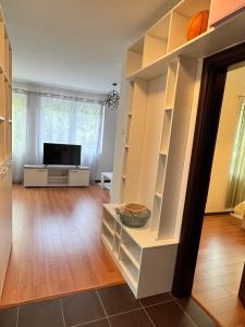 Alex Apartment Petrovac