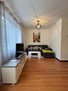 Alex Apartment Petrovac
