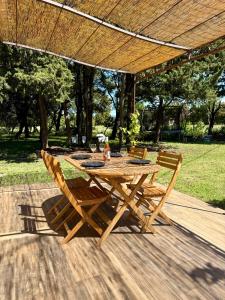 Maisonnette avec petite forêt