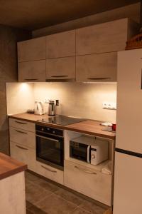 Apartmán U Holoubka