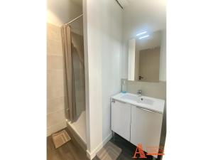 Appartement avec Terrasse privée sur les toits de Toulouse