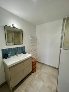 Maisons de vacances La Petite Bageasse : photos des chambres