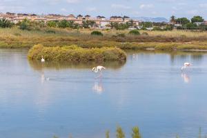 Menabrea Holiday House near the beach and airport
