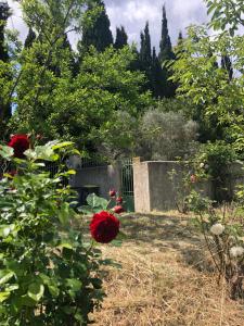 La maison des Sources