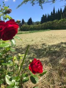 La maison des Sources