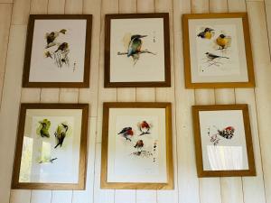 B&B / Chambres d'hotes Bel Ombre Cap Ferret : photos des chambres