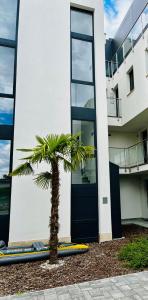 Balaton Bliss Lakefront Apartment