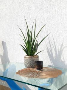 Strandnahe, helle Ferienwohnung für 2 Personen