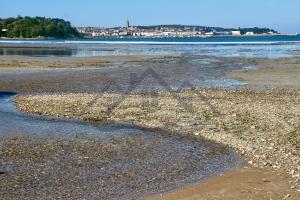 Maisons de vacances LocaLise - M5 - Maison de vacances sur le port de Lechiagat - terrasse entierement close - Wifi inclus - Draps inclus - Animaux bienvenus : photos des chambres