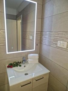 Studio Apartment Frane