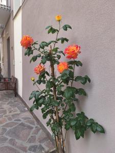 Bilocale moderno Sabbia e Cielo - 5min dal mare