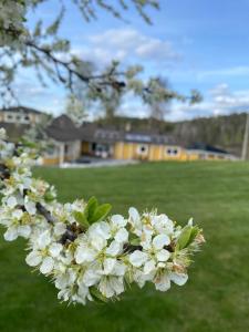 Skönero, Valdemarsvik