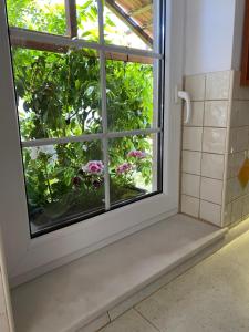 Private pool 2 rooms