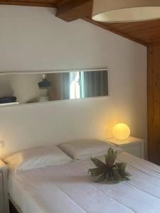 AZORES PEDRA APARTMENTS j - F