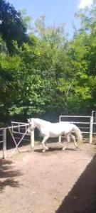 Šumski raj Lipovica