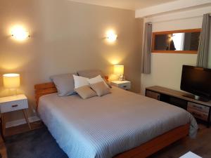 Sejours chez l'habitant Studio proche Chaine des Puys, SDB privee, kitchenette : photos des chambres