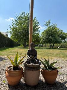 Hamiora wellness B&B