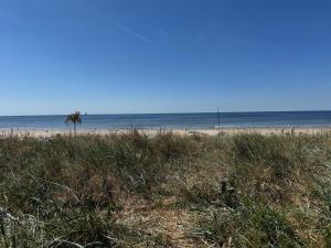 Short Stay Zandvoort at 68