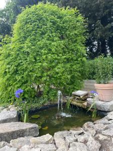 B&B / Chambres d'hotes ARLES CAMPAGNE LOCATION 