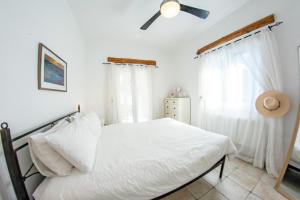 Fionas House Apartments