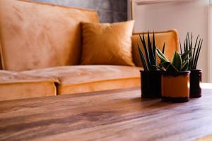 Appartements Le Luz Charmant T3 : photos des chambres