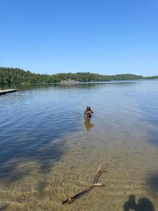 Klämmingsbergsbadets - STUGA GÖSEN