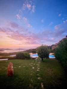 Dimora dellOrso - Comfort & Relax