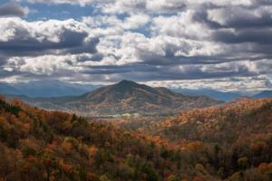 Pet-Friendly, Pool, Game Room, Hot Tub, Theater