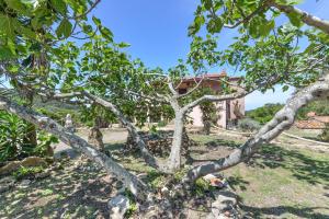 Agriturismo Amandolo