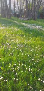 Casa vacanza Cascina Ronco- Natura e Relax vicino lago di Como